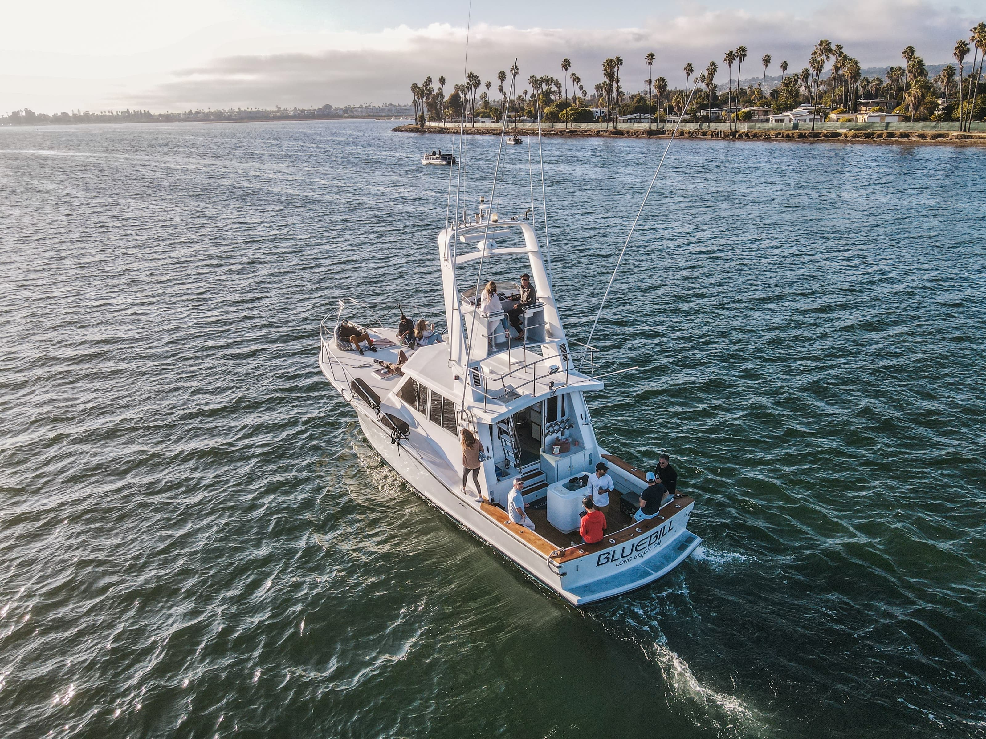 Aerial stern-quarter view of Bluebill underway with her name and San Diego hailing port on the transom, guests on both decks and palm-lined shores behind